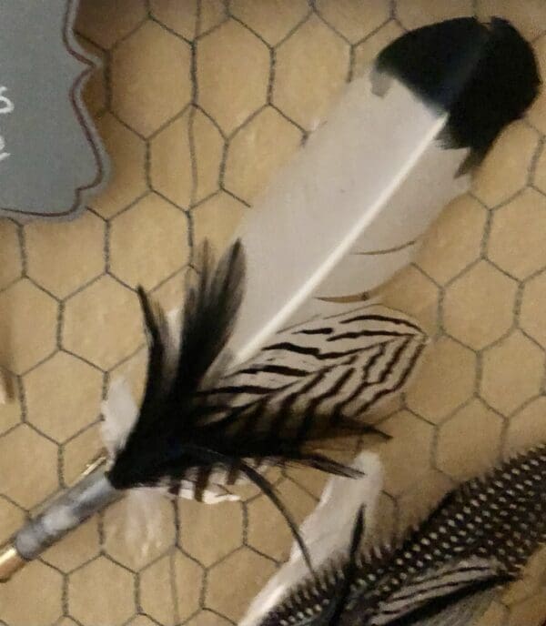 Buckshot Feather Hat Clip