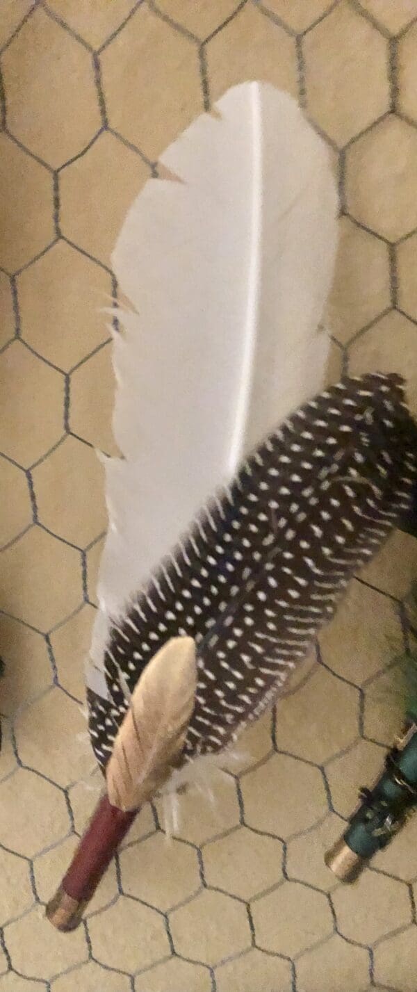 Buckshot Feather Hat Clip